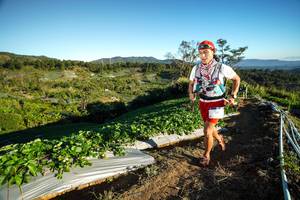 BIB: 
                            <button type="button" onclick="openModal(19110354)" class="btn btn-primary btn-sm float-right btn-popup" data-toggle="modal" data-target=".modal-high-quality">
                        <i class="fas fa-shopping-cart"></i> Add to Cart
                    </button>
                                            <button type="button" onclick="isThisMe(19110354, true)" class="btn btn-success btn-sm float-right btn-popup btn-isme hidden" data-toggle="tooltip" data-placement="bottom" title="นี่คือรูปของคุณใช่ไหม คลิกที่นี่เพื่อเอาเข้าอัลบั้ม">
                        <i class="fas fa-plus"></i> Add to album
                    </button>
                    <button type="button" onclick="isThisMe(19110354, false)" class="btn btn-warning btn-sm float-right btn-popup btn-isnotme hidden">
                        <i class="fas fa-ban"></i> Remove from album
                    </button>